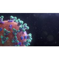 Medium_fusion-medical-animation-eaggqoiddmg-unsplash